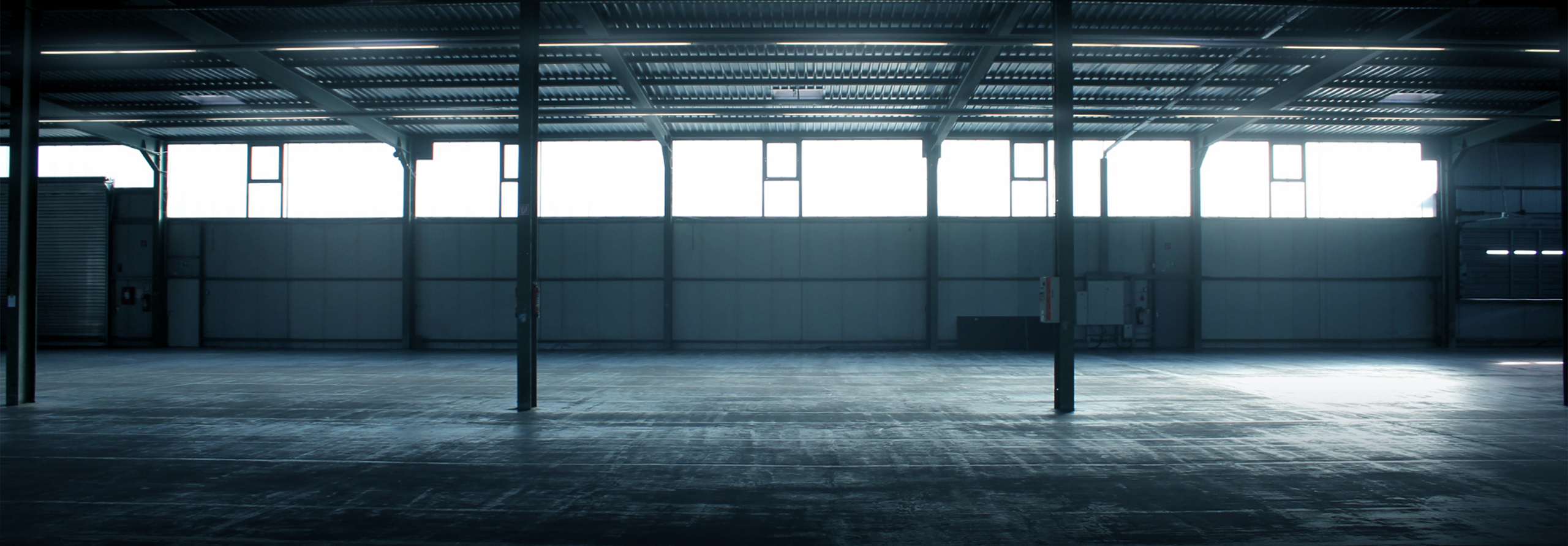 Elevance Consulting Hero